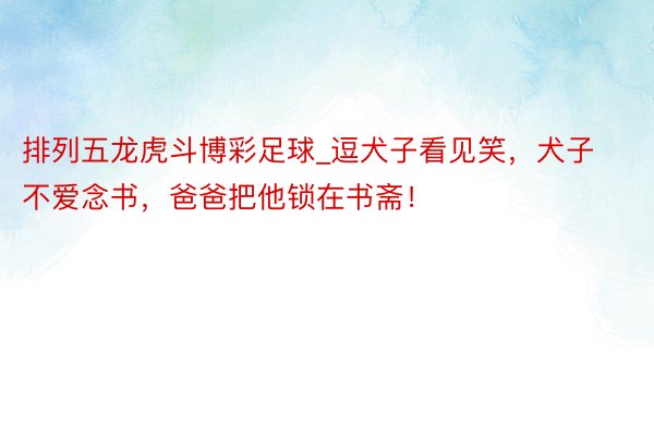 排列五龙虎斗博彩足球_逗犬子看见笑，犬子不爱念书，爸爸把他锁在书斋！
